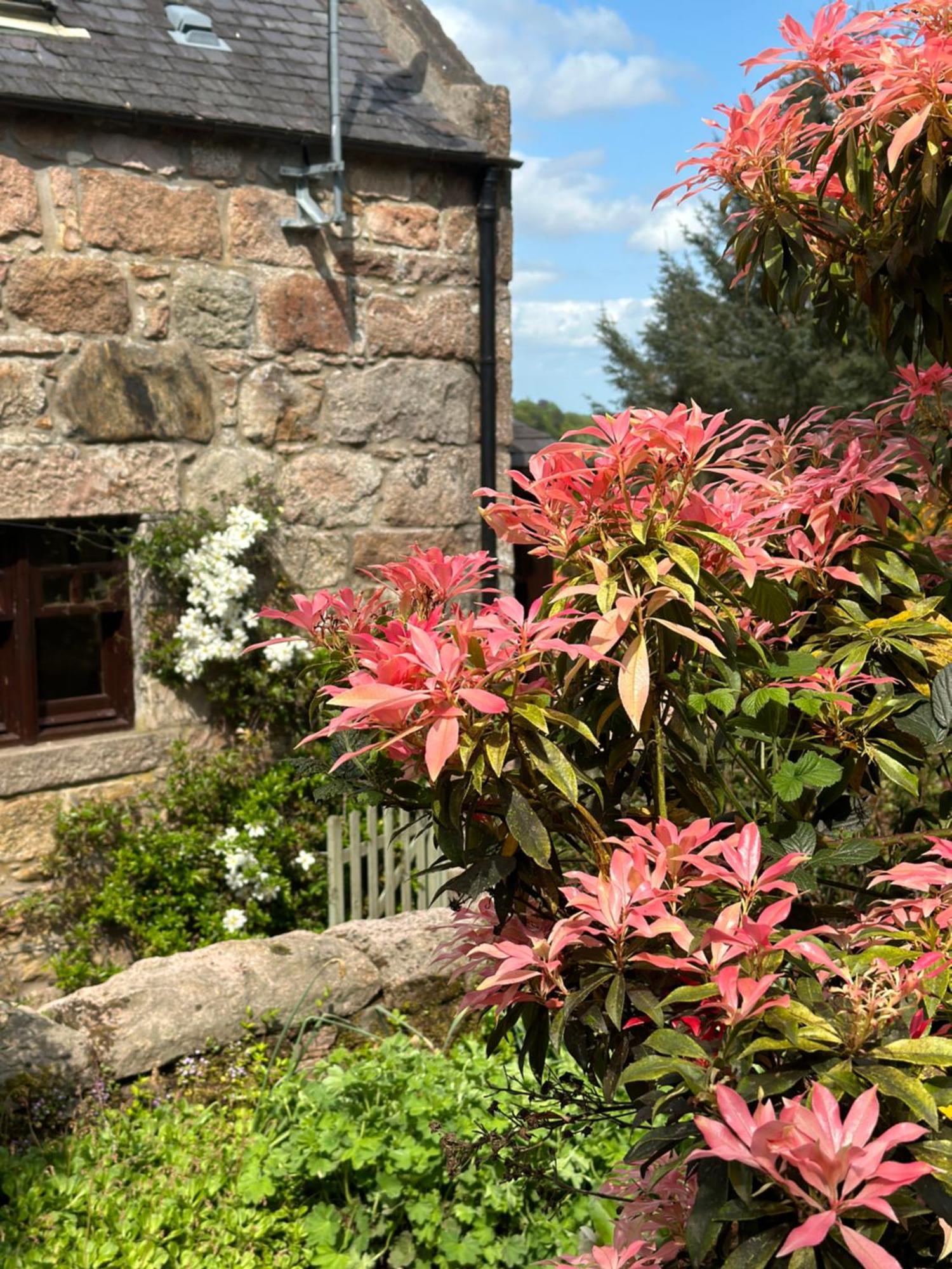 Bed and Breakfast Awakening Alchemy Retreat Centre Inverurie Exteriér fotografie