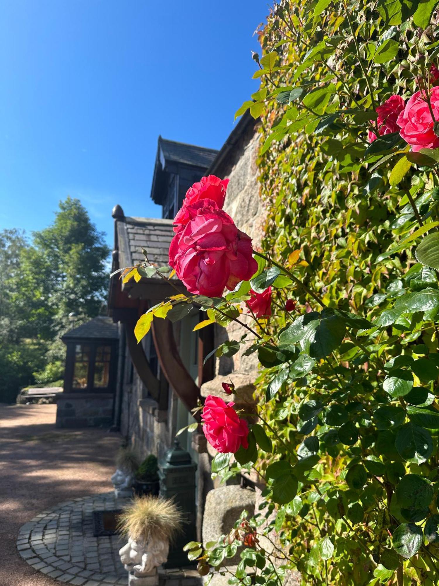 Bed and Breakfast Awakening Alchemy Retreat Centre Inverurie Exteriér fotografie