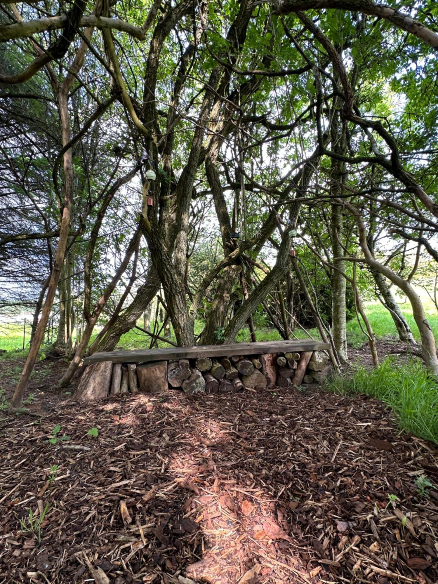 Bed and Breakfast Awakening Alchemy Retreat Centre Inverurie Exteriér fotografie