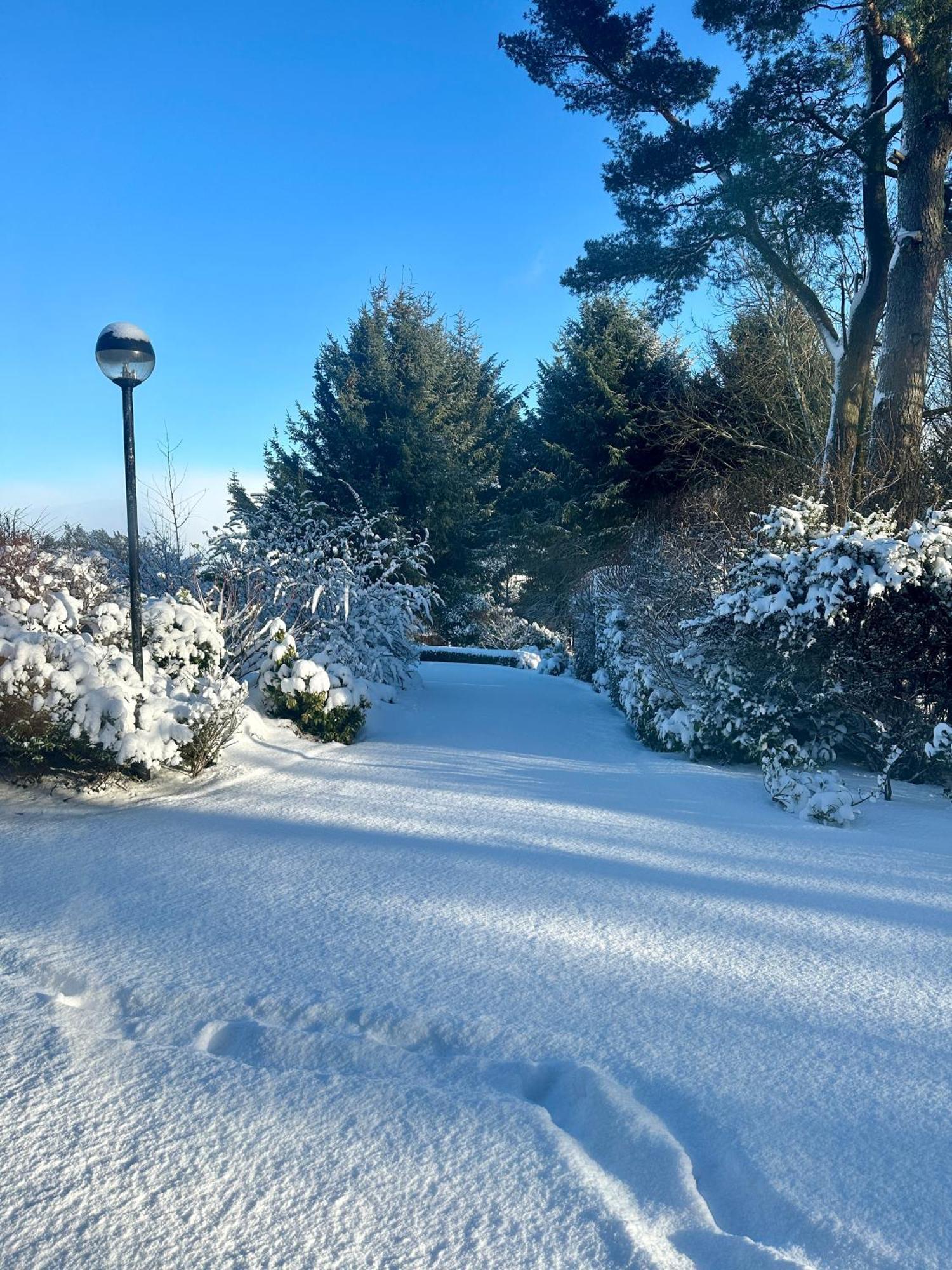 Bed and Breakfast Awakening Alchemy Retreat Centre Inverurie Exteriér fotografie